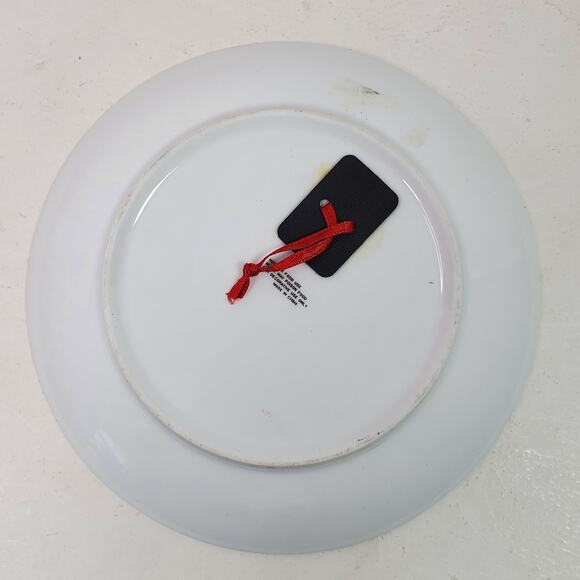 Vintage Oklahoma Buffalo Country Collector Plate 7 Inch - Picture 2 of 2